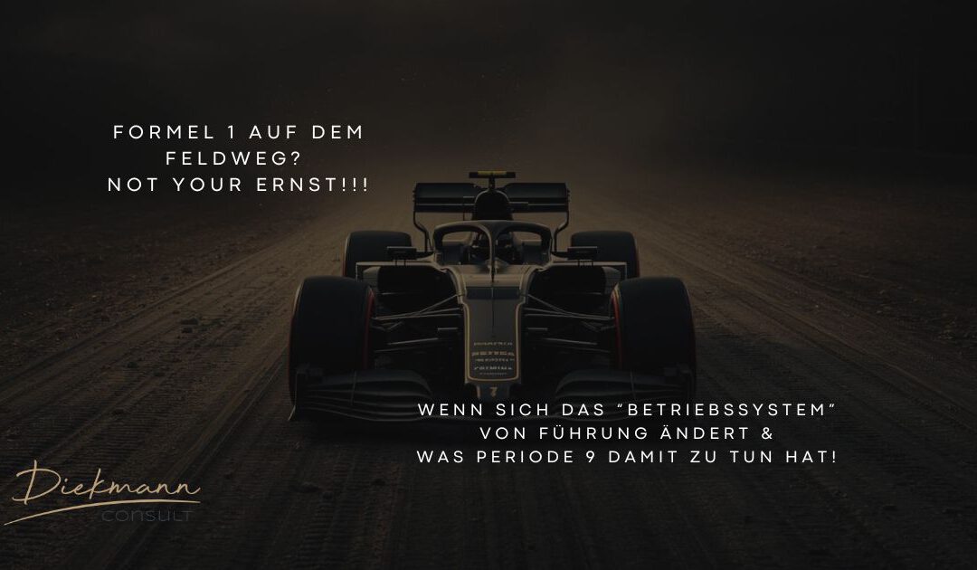 Formel 1 auf dem Feldweg? Not your Ernst!!!  Warum dein Business mit KI gerade baden geht & sich Führung gerade neu sortiert